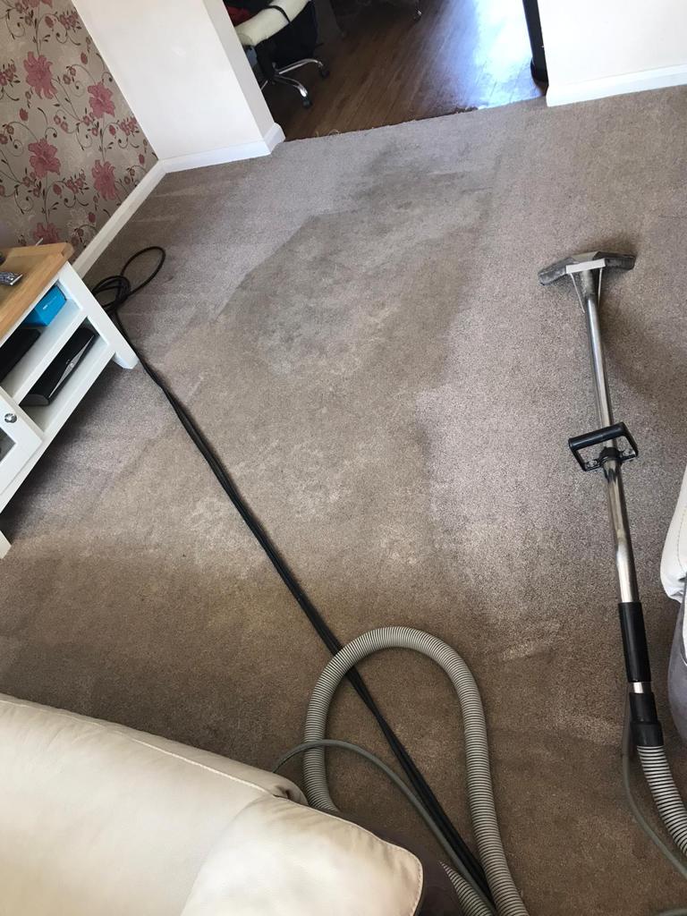 This is a photo of a brown carpet which is being professionally steam cleaned, part of the carpet has been cleaned, and the other part is still to be cleaned. Works being carried out by K&S Carpet Cleaning